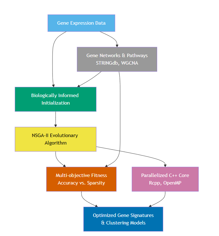 Biologically Informed Evolutionary Framework in BioGA for Gene Signature Optimization